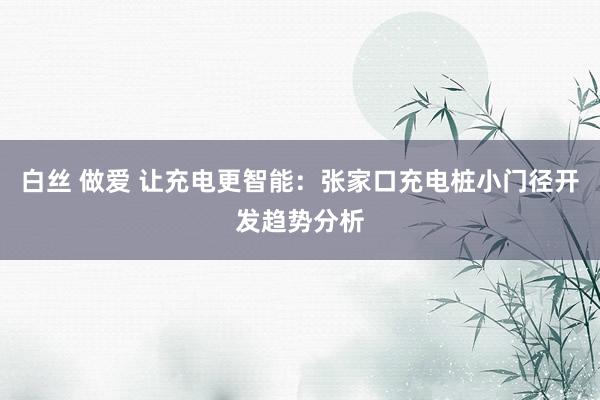 白丝 做爱 让充电更智能：张家口充电桩小门径开发趋势分析