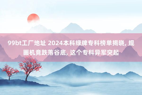 99bt工厂地址 2024本科绿牌专科榜单揭晓， 规画机竟跌落谷底， 这个专科异军突起