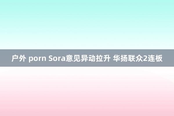 户外 porn Sora意见异动拉升 华扬联众2连板