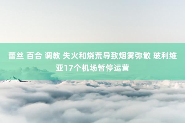 蕾丝 百合 调教 失火和烧荒导致烟雾弥散 玻利维亚17个机场暂停运营