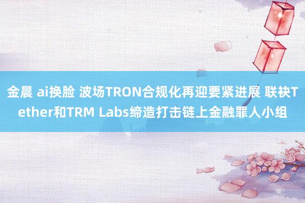 金晨 ai换脸 波场TRON合规化再迎要紧进展 联袂Tether和TRM Labs缔造打击链上金融罪人小组