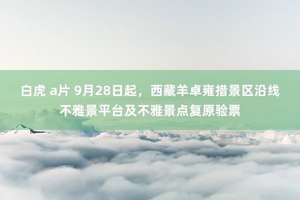 白虎 a片 9月28日起，西藏羊卓雍措景区沿线不雅景平台及不雅景点复原验票