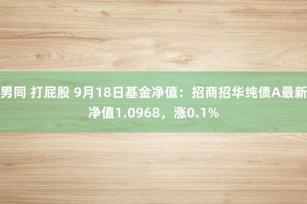 男同 打屁股 9月18日基金净值：招商招华纯债A最新净值1.0968，涨0.1%