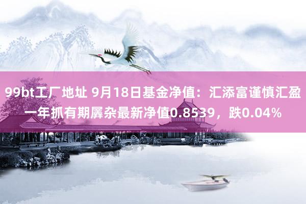 99bt工厂地址 9月18日基金净值：汇添富谨慎汇盈一年抓有期羼杂最新净值0.8539，跌0.04%