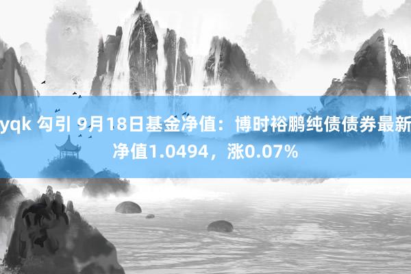 yqk 勾引 9月18日基金净值：博时裕鹏纯债债券最新净值1.0494，涨0.07%