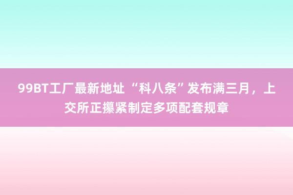 99BT工厂最新地址 “科八条”发布满三月，上交所正攥紧制定多项配套规章