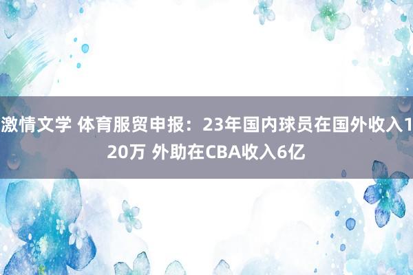 激情文学 体育服贸申报：23年国内球员在国外收入120万 外助在CBA收入6亿