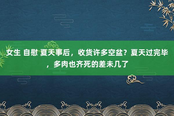 女生 自慰 夏天事后，收货许多空盆？夏天过完毕，多肉也齐死的差未几了