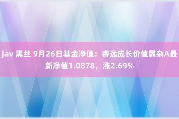 jav 黑丝 9月26日基金净值：睿远成长价值羼杂A最新净值1.0878，涨2.69%