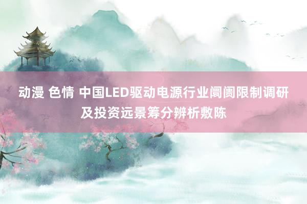 动漫 色情 中国LED驱动电源行业阛阓限制调研及投资远景筹分辨析敷陈