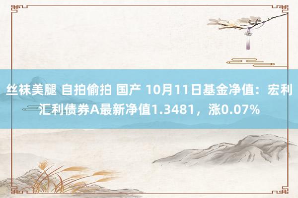 丝袜美腿 自拍偷拍 国产 10月11日基金净值：宏利汇利债券A最新净值1.3481，涨0.07%