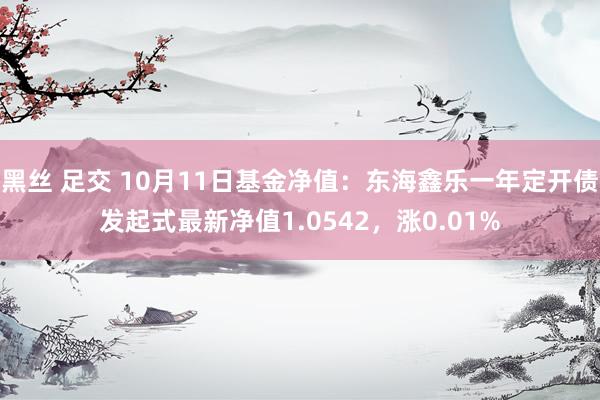 黑丝 足交 10月11日基金净值：东海鑫乐一年定开债发起式最新净值1.0542，涨0.01%