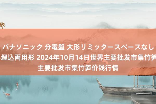 パナソニック 分電盤 大形リミッタースペースなし 露出・半埋込両用形 2024年10月14日世界主要批发市集竹笋价钱行情