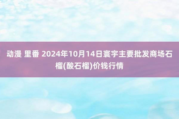 动漫 里番 2024年10月14日寰宇主要批发商场石榴(酸石榴)价钱行情