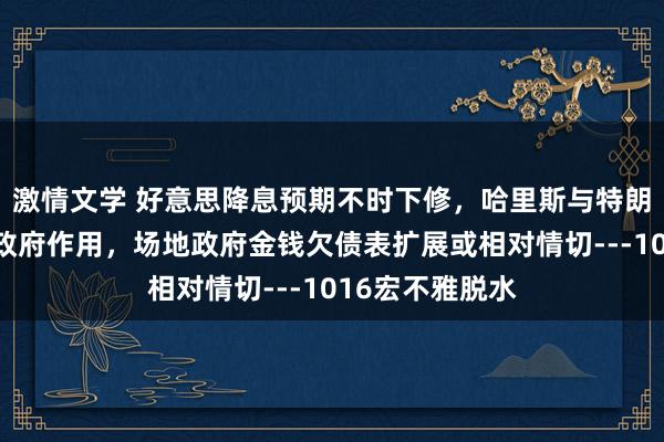 激情文学 好意思降息预期不时下修，哈里斯与特朗普计谋互异在政府作用，场地政府金钱欠债表扩展或相对情切---1016宏不雅脱水