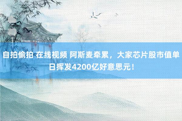 自拍偷拍 在线视频 阿斯麦牵累，大家芯片股市值单日挥发4200亿好意思元！