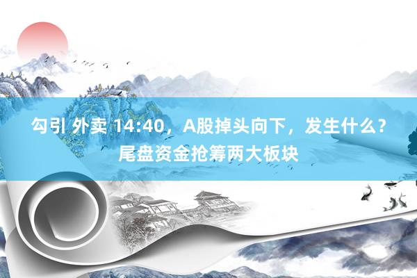 勾引 外卖 14:40，A股掉头向下，发生什么？尾盘资金抢筹两大板块