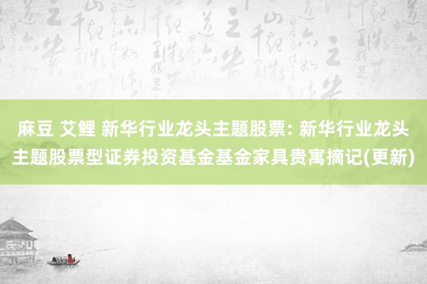 麻豆 艾鲤 新华行业龙头主题股票: 新华行业龙头主题股票型证券投资基金基金家具贵寓摘记(更新)