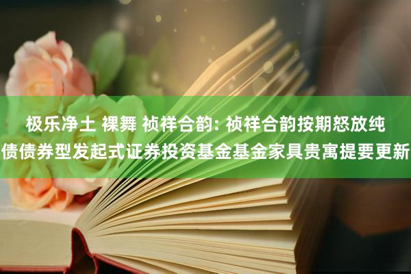 极乐净土 裸舞 祯祥合韵: 祯祥合韵按期怒放纯债债券型发起式证券投资基金基金家具贵寓提要更新