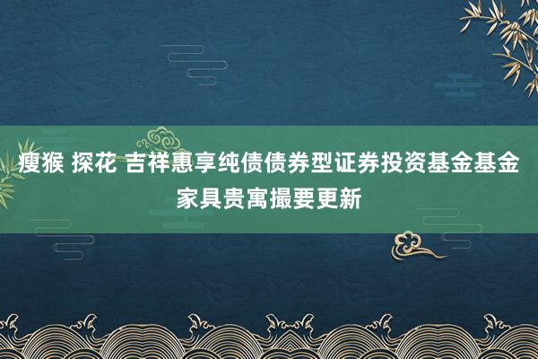 瘦猴 探花 吉祥惠享纯债债券型证券投资基金基金家具贵寓撮要更新