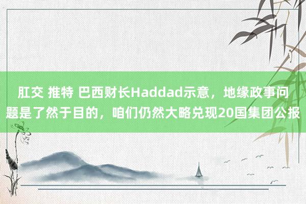 肛交 推特 巴西财长Haddad示意，地缘政事问题是了然于目的，咱们仍然大略兑现20国集团公报