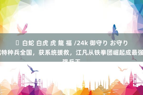 ✨白蛇 白虎 虎 龍 福 /24k 御守り お守り 穿越特种兵全国，获系统援救，江凡从铁拳团崛起成最强兵王