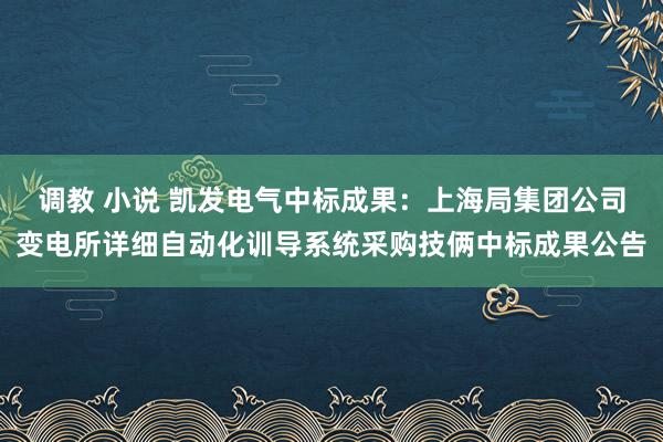 调教 小说 凯发电气中标成果：上海局集团公司变电所详细自动化训导系统采购技俩中标成果公告