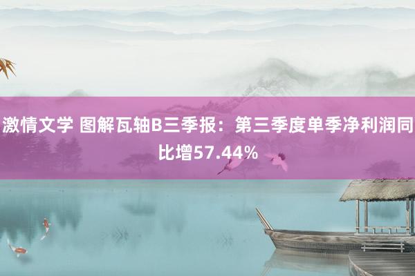 激情文学 图解瓦轴B三季报：第三季度单季净利润同比增57.44%