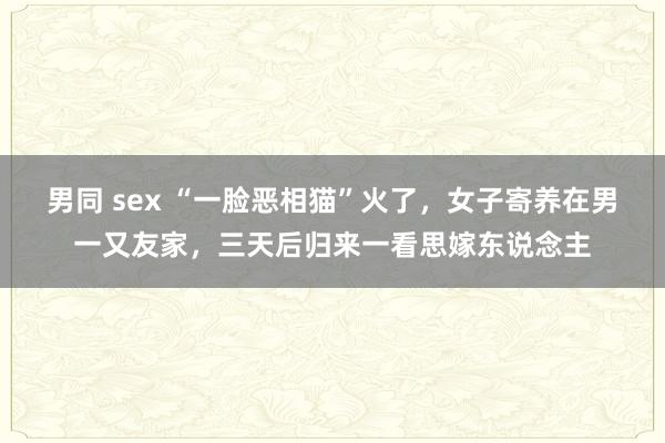 男同 sex “一脸恶相猫”火了，女子寄养在男一又友家，三天后归来一看思嫁东说念主