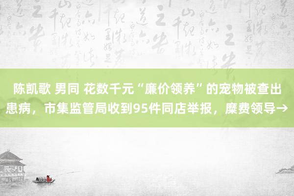 陈凯歌 男同 花数千元“廉价领养”的宠物被查出患病，市集监管局收到95件同店举报，糜费领导→