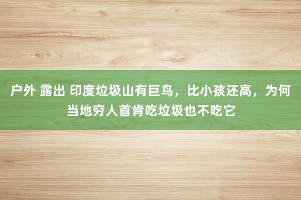 户外 露出 印度垃圾山有巨鸟，比小孩还高，为何当地穷人首肯吃垃圾也不吃它