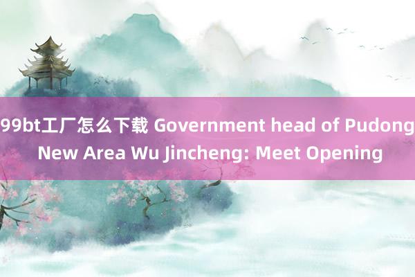 99bt工厂怎么下载 Government head of Pudong New Area Wu Jincheng: Meet Opening