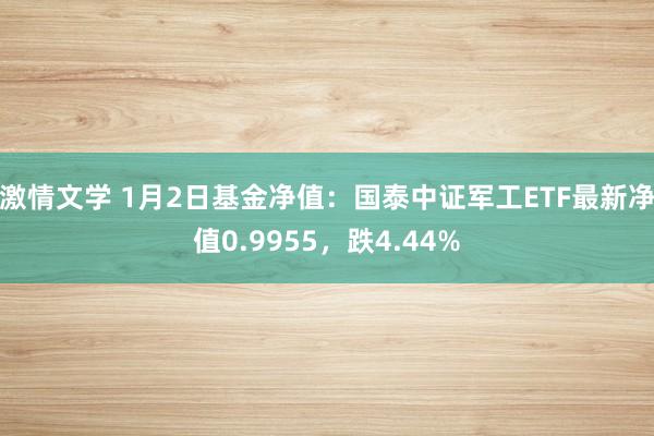 激情文学 1月2日基金净值：国泰中证军工ETF最新净值0.9955，跌4.44%