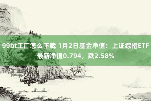 99bt工厂怎么下载 1月2日基金净值：上证综指ETF最新净值0.794，跌2.58%