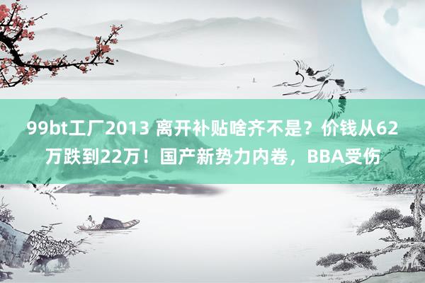 99bt工厂2013 离开补贴啥齐不是？价钱从62万跌到22万！国产新势力内卷，BBA受伤