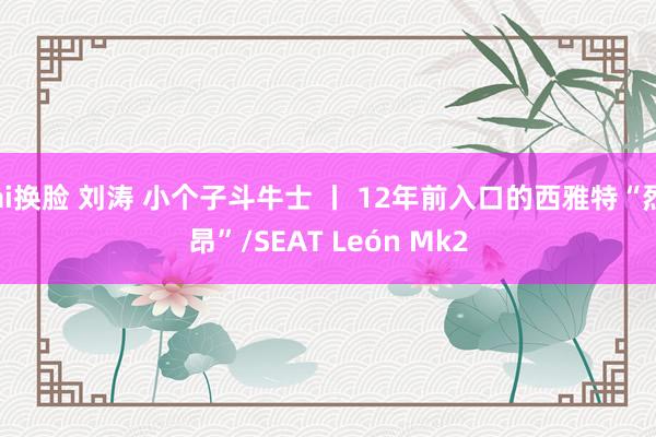 ai换脸 刘涛 小个子斗牛士 丨 12年前入口的西雅特“烈昂”/SEAT León Mk2