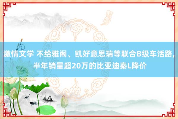 激情文学 不给雅阁、凯好意思瑞等联合B级车活路， 半年销量超20万的比亚迪秦L降价