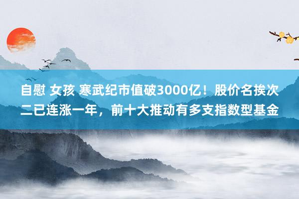 自慰 女孩 寒武纪市值破3000亿！股价名挨次二已连涨一年，前十大推动有多支指数型基金