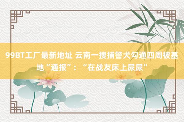 99BT工厂最新地址 云南一搜捕警犬勾通四周被基地“通报”：“在战友床上尿尿”