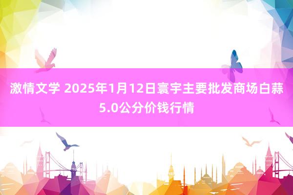 激情文学 2025年1月12日寰宇主要批发商场白蒜5.0公分价钱行情