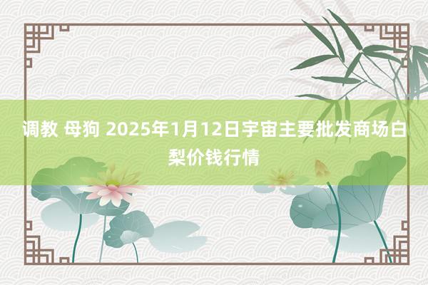 调教 母狗 2025年1月12日宇宙主要批发商场白梨价钱行情