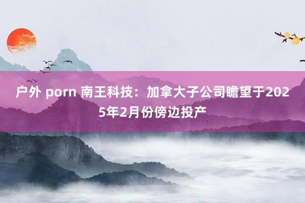 户外 porn 南王科技：加拿大子公司瞻望于2025年2月份傍边投产