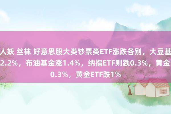 人妖 丝袜 好意思股大类钞票类ETF涨跌各别，大豆基金收涨超2.2%，布油基金涨1.4%，纳指ETF则跌0.3%，黄金ETF跌1%