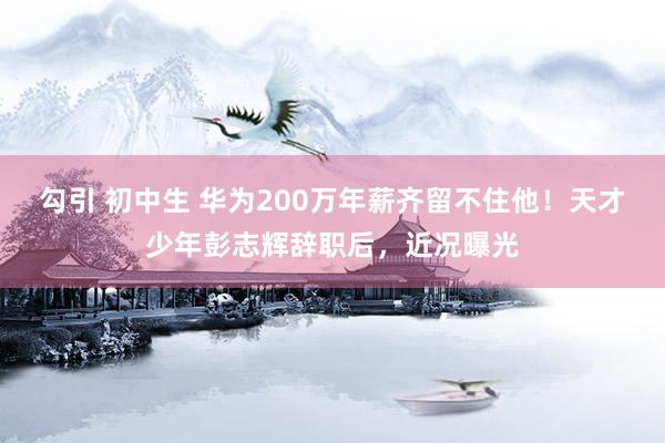 勾引 初中生 华为200万年薪齐留不住他！天才少年彭志辉辞职后，近况曝光