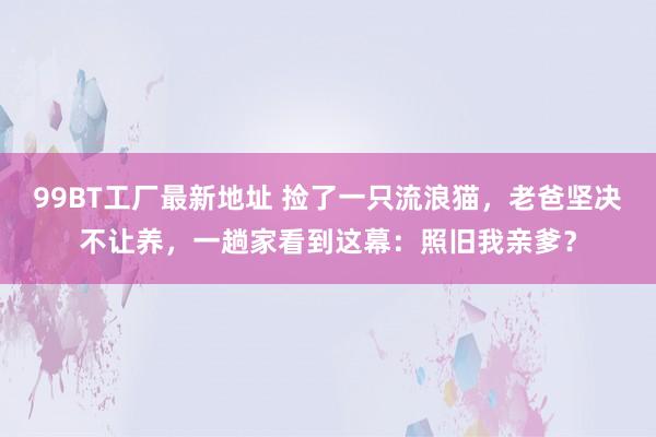 99BT工厂最新地址 捡了一只流浪猫，老爸坚决不让养，一趟家看到这幕：照旧我亲爹？